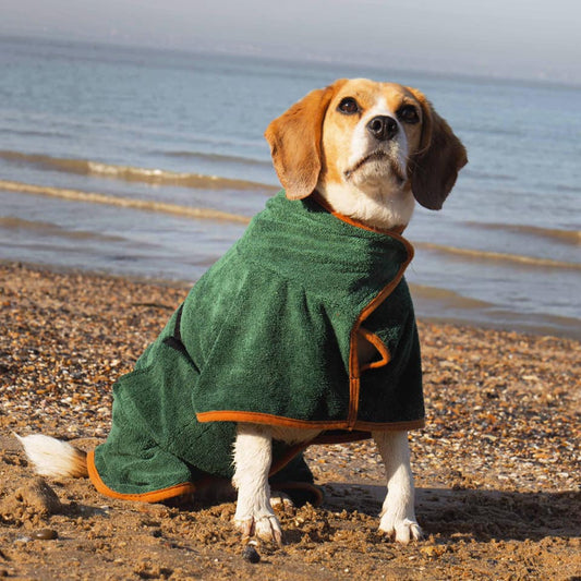 Smotio™ Dog Drying Coat