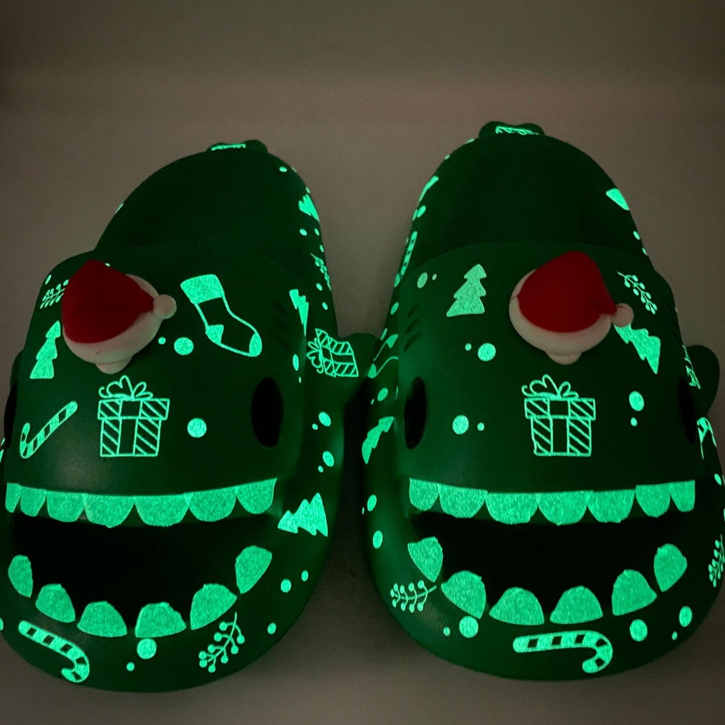 Xmas Shark Slides (Limited Edition)